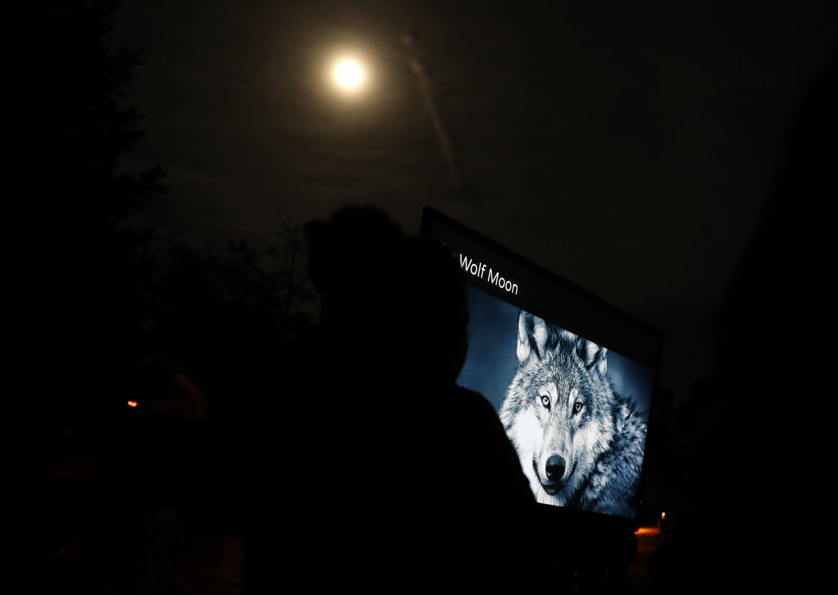 The Wolf Moon